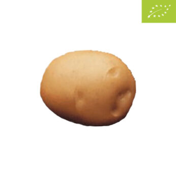 Patate da Seme AGRIA BIO – 25kg