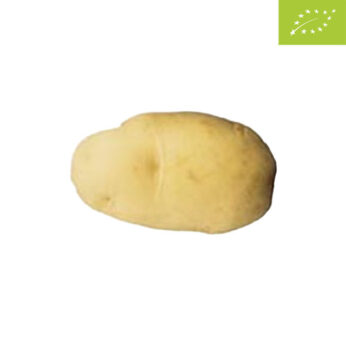 Patate MAJESTIC BIO – 25kg