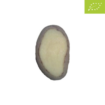 Patate da Seme SIFRA BIO – 25kg