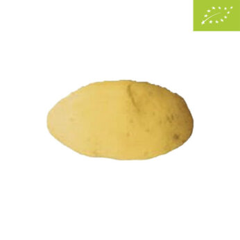 Patate da Seme SPUNTA BIO – 25kg